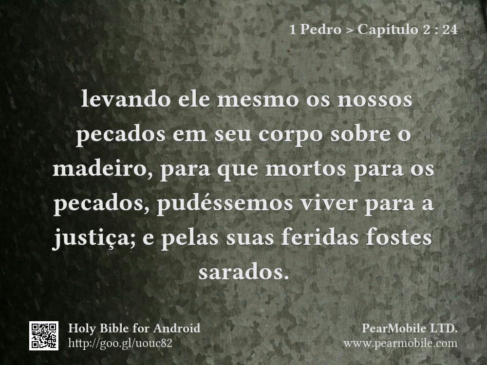 1 Pedro, Capítulo 2:24